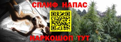 МДПВ Беслан