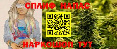 МДПВ Беслан