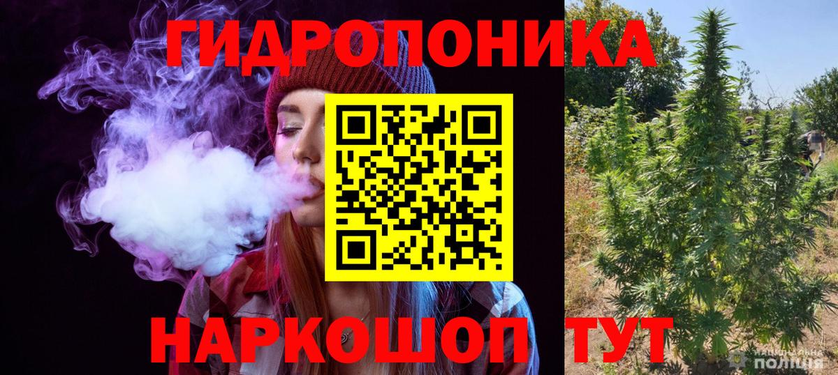 Вязьма  Шишки марихуана марихуана  Вход с VPN  Шишки марихуана White Widow  Шишки марихуана гибрид 